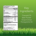 irwin-naturals-beets-4-cardio-60-liquid--2.jpg