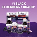 sambucol-black-elderberry-gummies-with-v-6.jpg