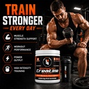 micronized-creatine-monohydrate-powder-u-3.jpg