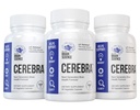 cerebra-next-generation-brain-formula-60-4.jpg