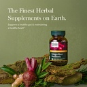 gaia-herbs-ginger-beet-postbiotic---supp-2.jpg
