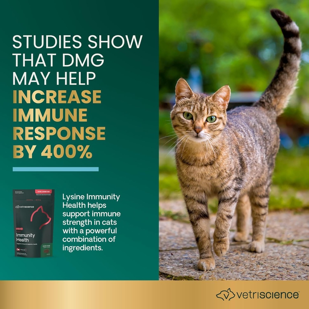vetriscience-lysine-immunity-health-chew-3.jpg
