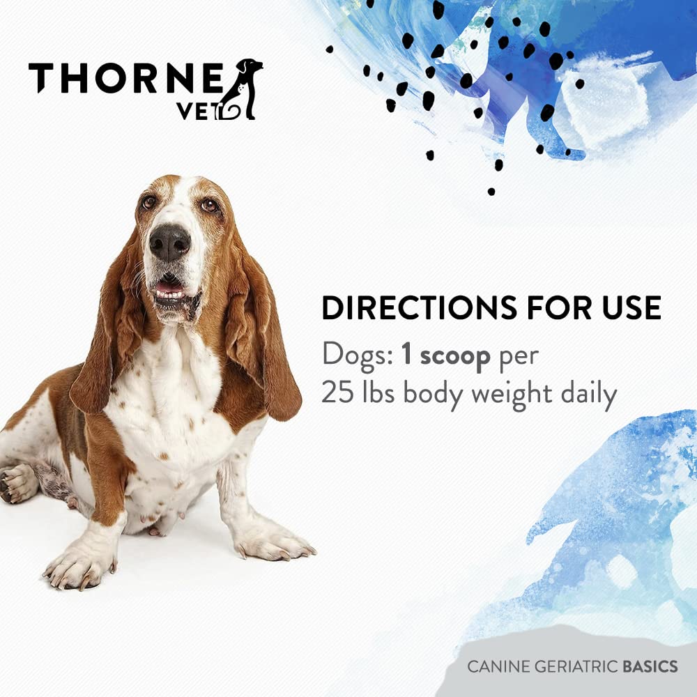 thornevet-canine-geriatric-basics-senior-6.jpg
