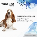 thornevet-canine-geriatric-basics-senior-6.jpg