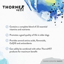 thornevet-canine-geriatric-basics-senior-4.jpg