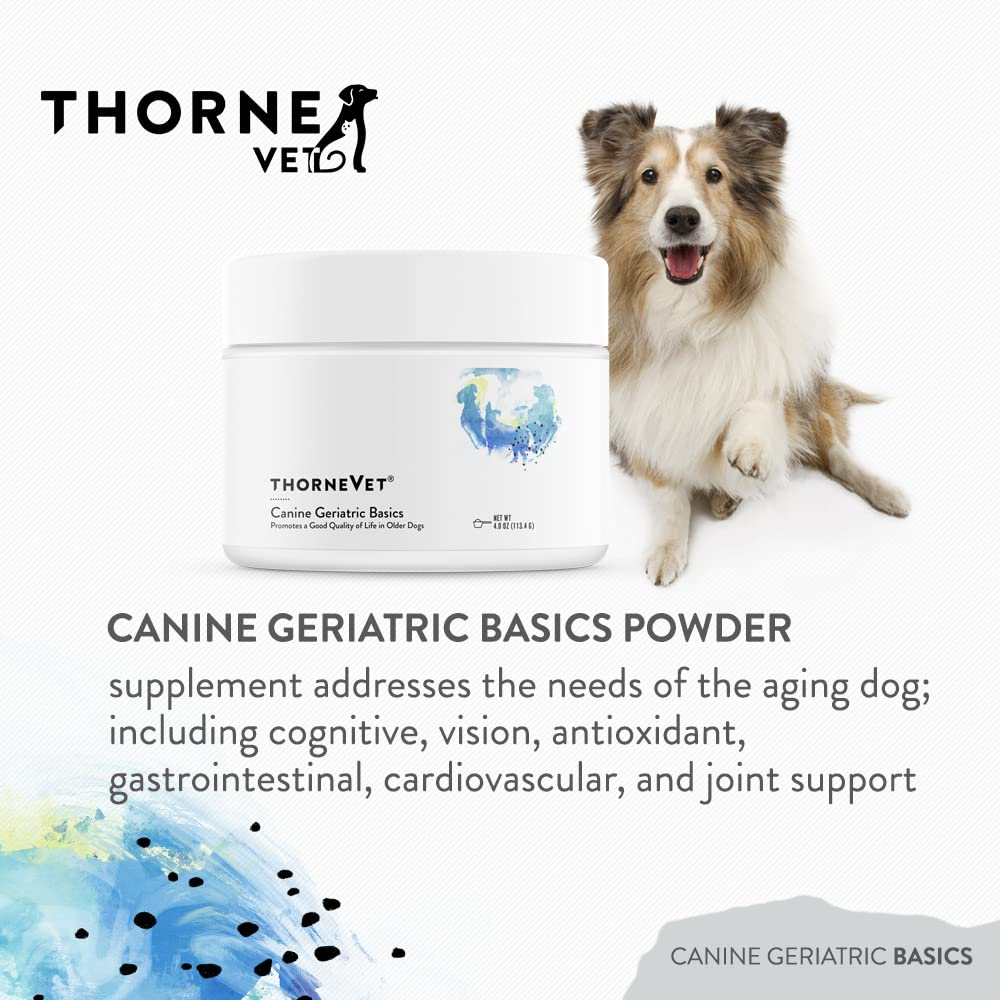 thornevet-canine-geriatric-basics-senior-3.jpg