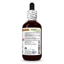 bromelain-ananas-comosus-dry-powder-glyc-2.jpg