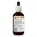guarana-paullinia-cupana-dry-seed-tinctu-3.jpg