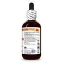 guarana-paullinia-cupana-dry-seed-tinctu-2.jpg