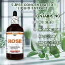 rose-rosa-centifolia-dry-petals-tincture-6.jpg
