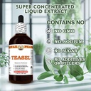 teasel-dipsacus-fullonum-dry-root-tinctu-6.jpg