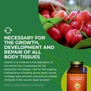 healthforce-superfoods-truly-natural-vit-6.jpg