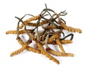 dragon-herbs-cordyceps-capsules-100-caps-3.jpg