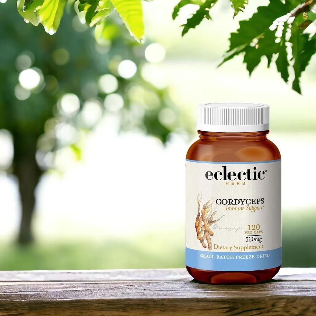 eclectic-cordyceps-fdv-120-count-6.jpg