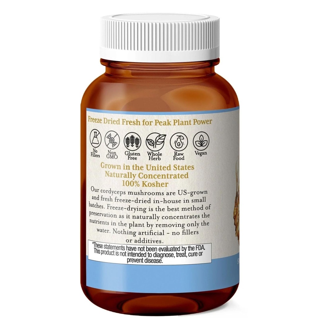eclectic-cordyceps-fdv-120-count-3.jpg