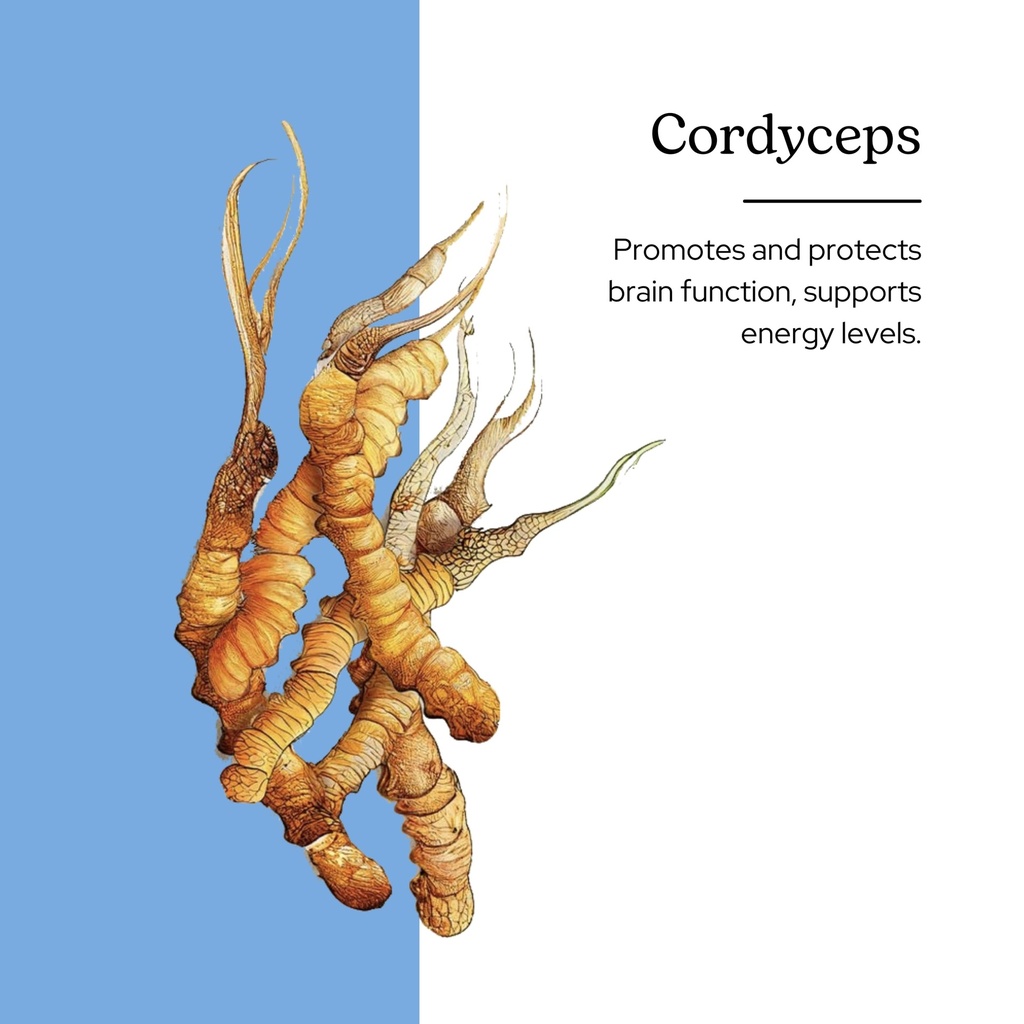 eclectic-cordyceps-fdv-120-count-2.jpg