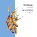 eclectic-cordyceps-fdv-120-count-2.jpg