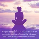wellpath-beet-root-gummies-sugar-free-15-4.jpg