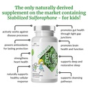 brocelite-mara-labs-kids-broccoli-supple-4.jpg