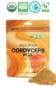 cordyceps-plus-organic-militaris-mushroo-5.jpg