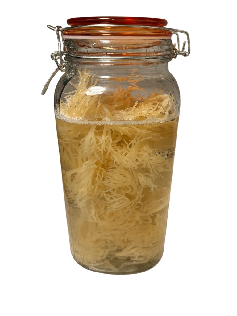 organic-irish-sea-moss-tincture-1oz-5.jpg
