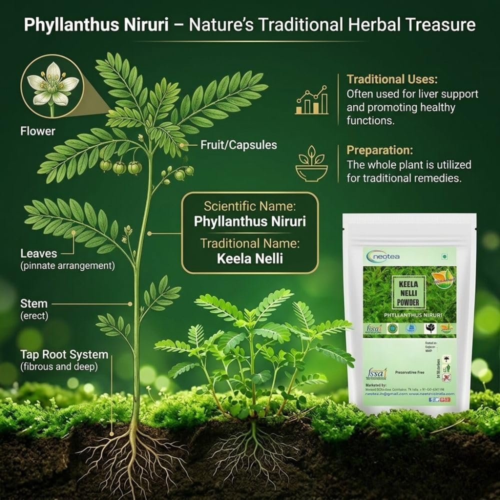 neotea-bhumiamalaki-powder-phyllanthus-n-3.jpg