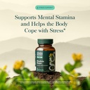 gaia-herbs-rhodiola-rosea-stress-support-3.jpg