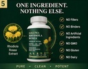 supplement-400mg-rhodiola-rosea-suppleme-4.jpg