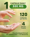 rhodiola-rosea-supplement-500mg-120-vega-6.jpg
