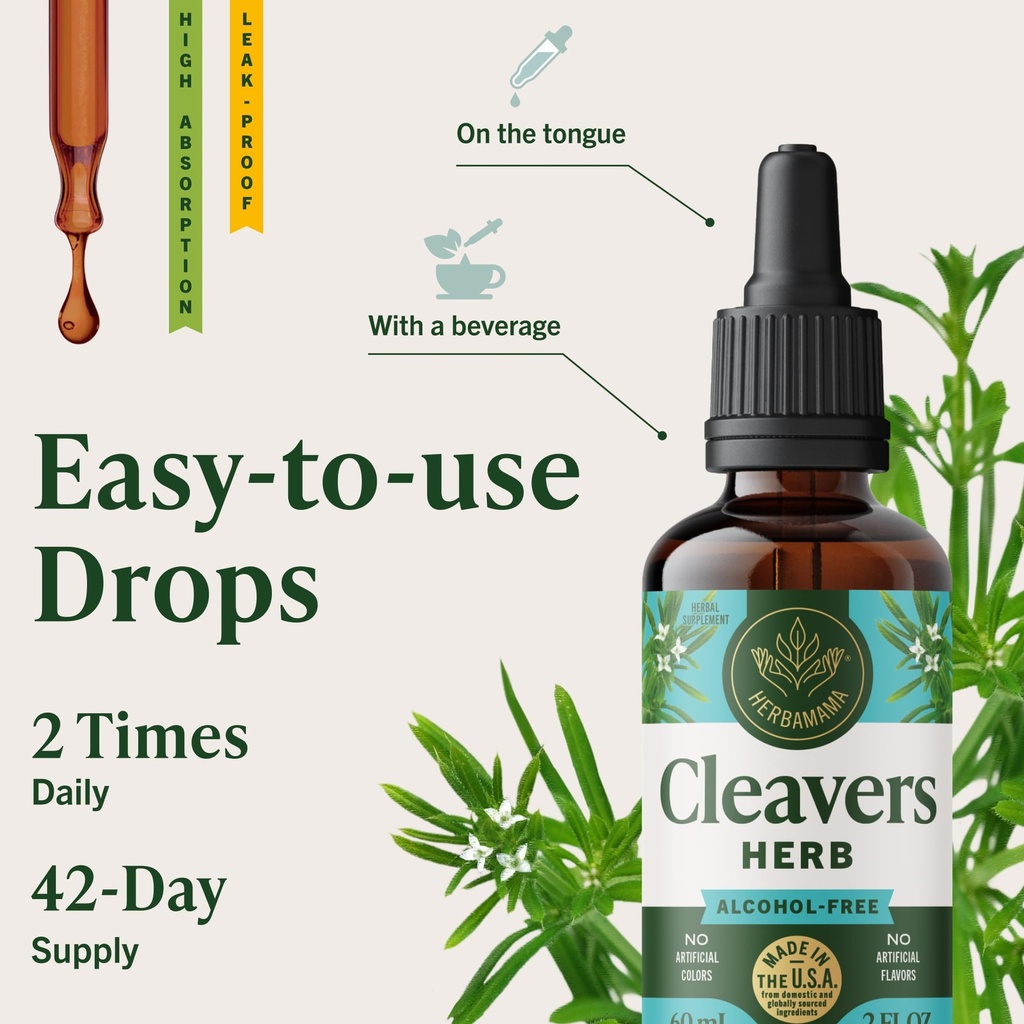 herbamama-cleavers-lymphatic-drainage-dr-6.jpg