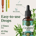 herbamama-cleavers-lymphatic-drainage-dr-6.jpg