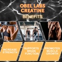 obel-creatine-monohydrate-micronized-500-4.jpg