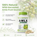 organic-amla-capsules-1500mg-indian-goos-6.jpg