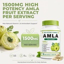 organic-amla-capsules-1500mg-indian-goos-2.jpg