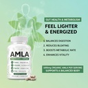 amla-capsules-organic-amla-superfruit-ca-6.jpg