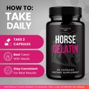 valdivia-horse-gelatin-capsules-official-4.jpg