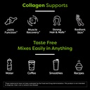 orgain-hydrolyzed-collagen-powder-organi-4.jpg
