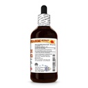 shu-di-huang-rehmannia-glutinosa-dry-pre-2.jpg