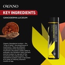 organo-ogx-organic-ganoderma-lucidum-90--4.jpg