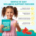 zeolite-kids-detox-gummies-zeolite-detox-3.jpg