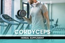 pure-original-ingredients-cordyceps-730--4.jpg