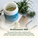 gutconnect-365-gut-health-superfood-powd-2.jpg