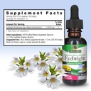 nature-s-answer-eyebright-herb-with-orga-4.jpg