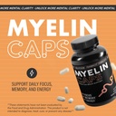 myelin-caps-brain-health-supplement-focu-2.jpg