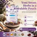 2-in-1-yoni-steaming-kit-foldable-toilet-5.jpg