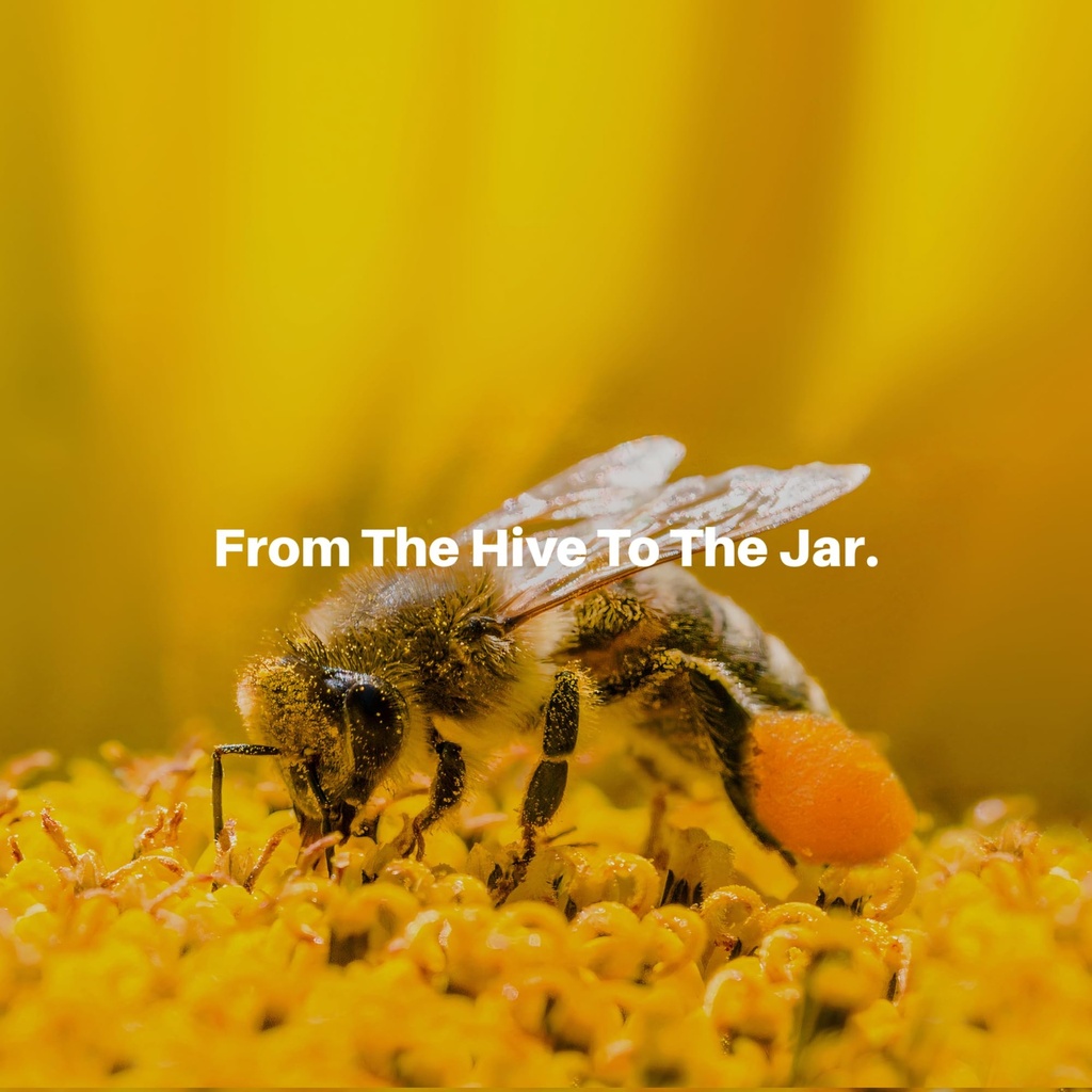 100-natural-fresh-bee-pollen-antioxidant-5.jpg