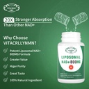 nad-supplement-liposomal-nad-plus-800mg--3.jpg