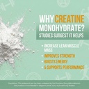 100-pure-micronized-creatine-monohydrate-3.jpg