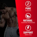 creatine-100-pure-powder-5.jpg