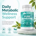 jade-supplements-pure-berberine-60-veget-2.jpg